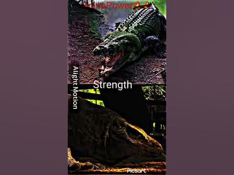 Saltwater Crocodile vs Komodo dragon Epic reptile battle | who will win