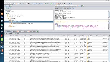 OWASP ZAP Breakpoints: Part 2 - Trapping Specific HTTP Requests