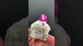 Ruby on Matrix from Hunza Pakistan | Fine Art Minerals | Ruby |