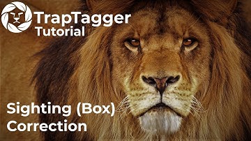 TrapTagger: Sighting (Box) Correction