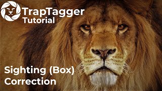 TrapTagger: Sighting (Box) Correction