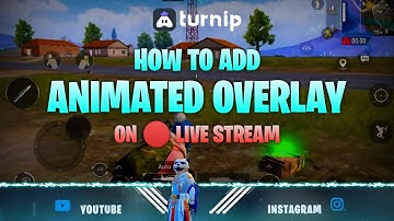 How to Add Animated Overlay on Live Stream in Mobile on Turnip App || Best Mobile Livestreaming App
