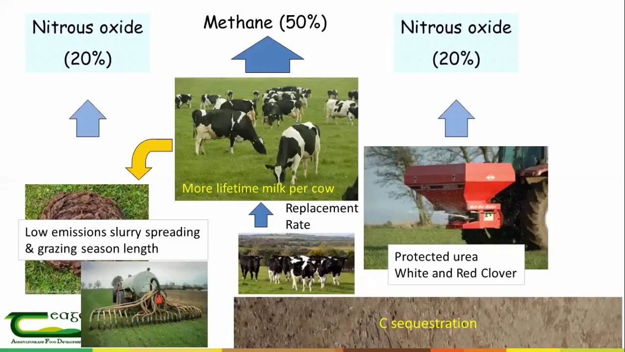 Low Carbon Dairy Farming Webinar The Signpost Series - YouTube
