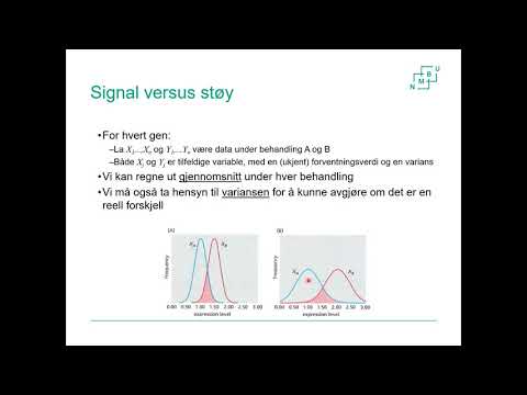 Video: Transkripsjonell Omprogrammering Av Genuttrykk I Bovine Somatiske Cellekromatinoverføringsembryoer