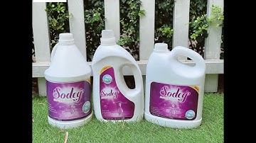 Nước giặt, nước rửa chén nước lau sàn thương hiệu Sodeg