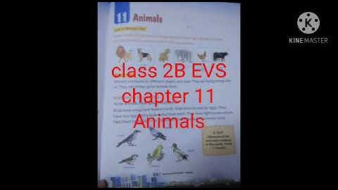 Class 2 EVS , Chapter 11, Animals