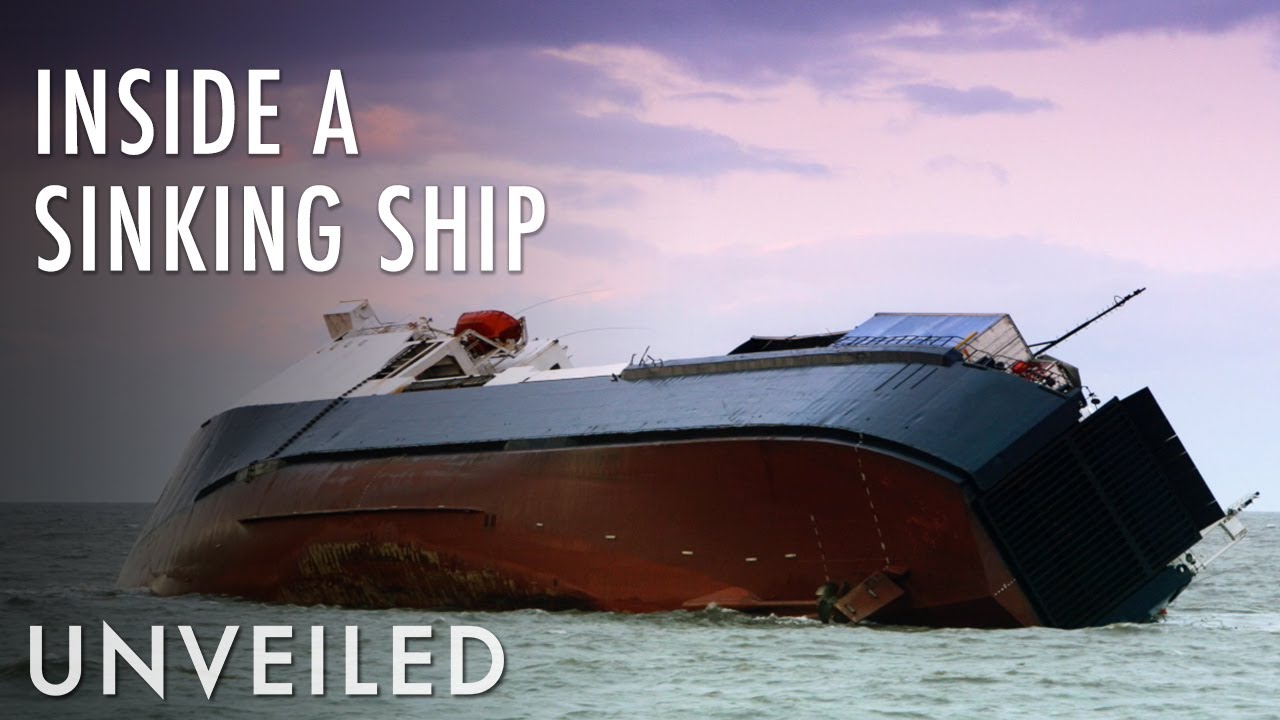 How to Survive After a Shipwreck pics pictures How to Survive After a Shipwreck