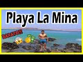 Playa LA MINA 2020 ❤😱🌊