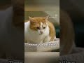 बंदरों ने बचाई बच्ची की जान Viral news fact #short #fact #trending