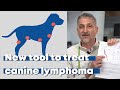 New tool to treat canine lymphoma