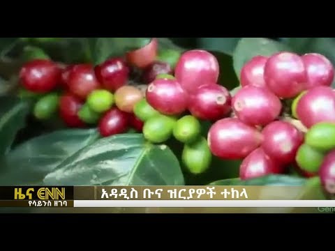 ቪዲዮ: እንዴት የ Sberbank ካርድ በጣም ተስማሚ በሆነ መልኩ ማግኘት ይቻላል?