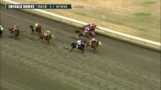 2024 AQHA Racing Championship Challenge News