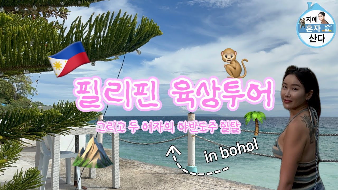 필리핀 보홀 육상투어 그리고 두 여자의 야반도주 일탈 in bohol 🌴⛰️🐒✨🍸 (초콜릿힐 짚라인 안경원숭이 맨메이드 포레스트 반딧불이 )