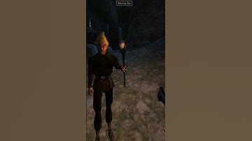 Killing the adoring fan in Morrowind every day until Skywind and Skyblivion are released Day - 252