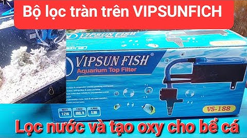 Máy lọc tràn trên Vipsunfich VS - Vừa lọc nước vừa tạo oxy cho bể cá