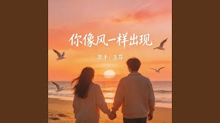 你像风一样出现逆着风 (Dj辞安版)