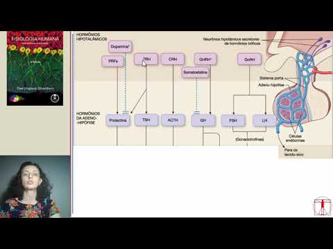 Endocrinologia 2 -