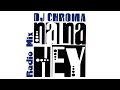 DJ Chroma NA NA HEY Radio Mix
