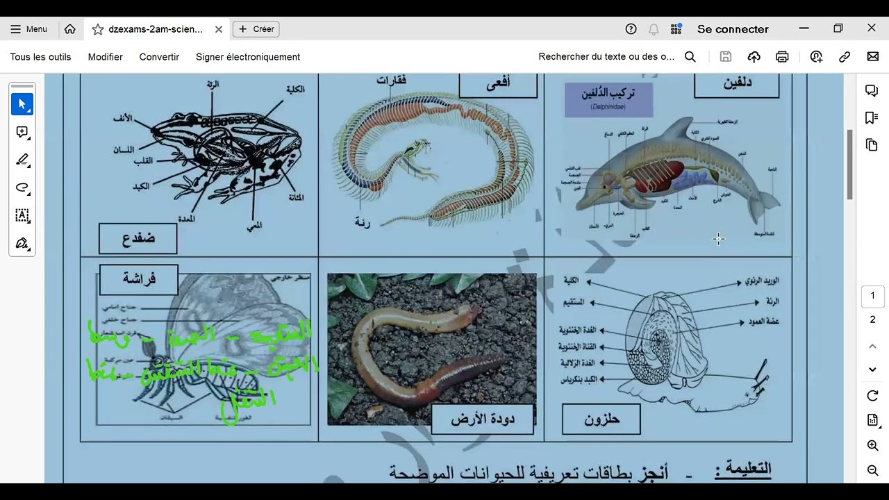 حصة مراجعة لاختبار الفصل الثالث ثانية متوسط علوم طبيعية