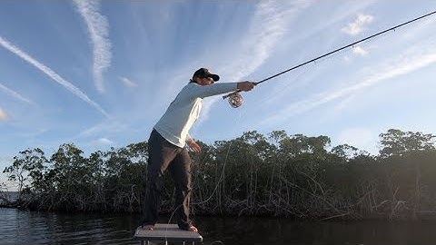 casting sink tip lines  - fly fishing