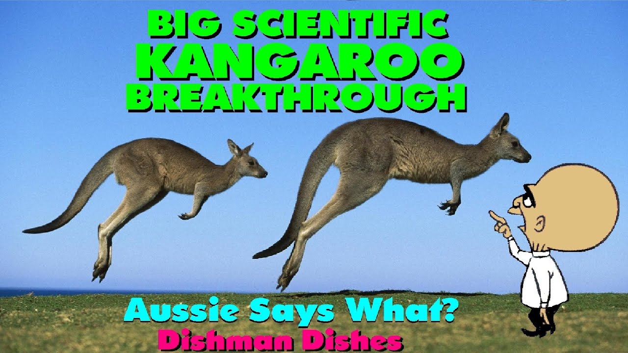 Kangaroo Breakthrough in Science! | Aussie says what? - YouTube