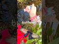 Kids Learn | Bug Insect Names at the Brook: Butterfly Cricket Weevil Fly Ladybug