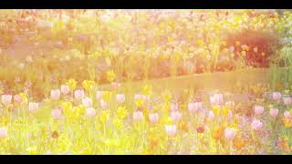 Ariana Grande - intro (end of the world) (Lyrics & Vietsub)