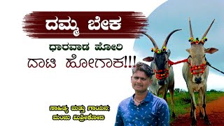 Download Lagu ದಮ್ಮ ಬೇಕ ಧಾರವಾಡ ಹೋರಿ ದಾಟಿ ಹೋಗಾಕ।Manju Mishrikoti।Hori Song। ರಬ್ಬಲ್ ಸೋನಿ ಹೋರಿ MP3 Download Lagu ದಮ್ಮ ಬೇಕ ಧಾರವಾಡ ಹೋರಿ ದಾಟಿ ಹೋಗಾಕ।Manju Mishrikoti।Hori Song। ರಬ್ಬಲ್ ಸೋನಿ ಹೋರಿ MP3