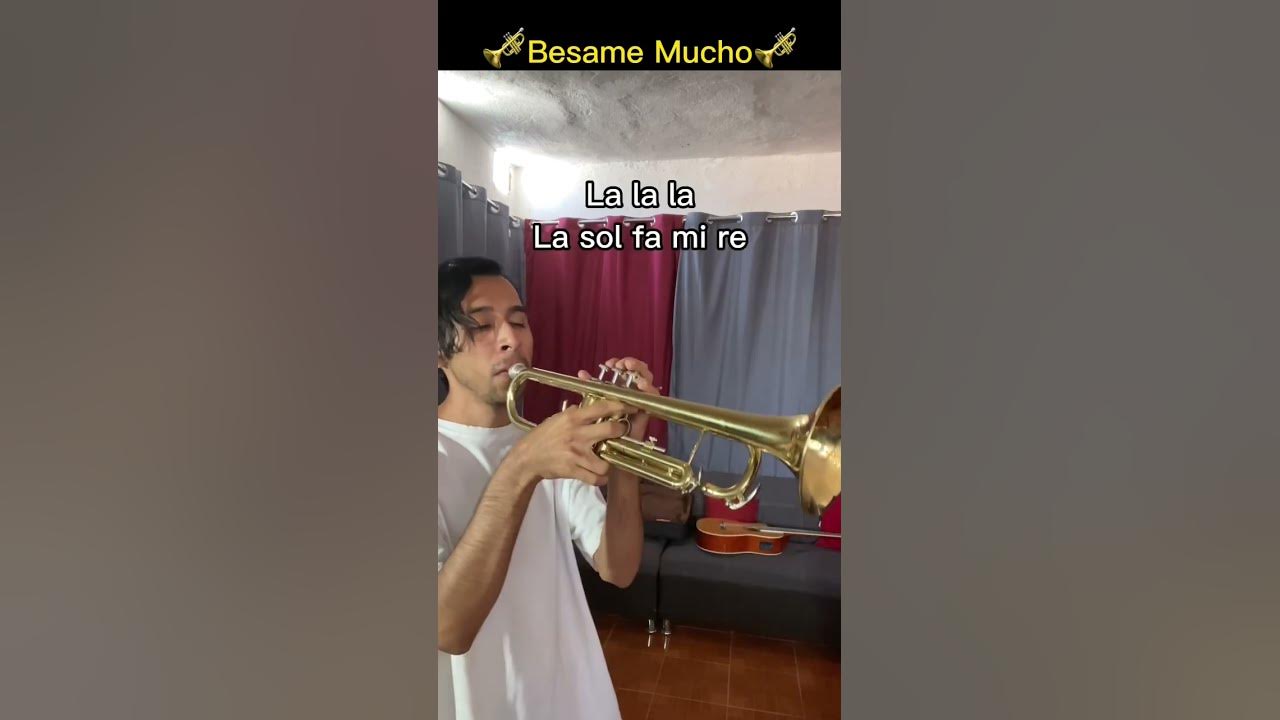 Canciones Fáciles en Trompeta 🎺