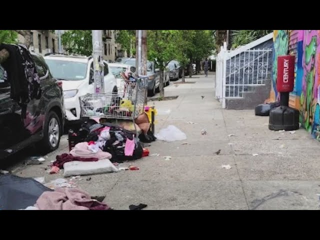 Bronx Businesses Struggling Over Homeless Encampments