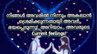 Download Lagu ❤️നിങ്ങളോടൊപ്പം മുന്നോട്ടു പോകണമെന്നാണ് അവർ ആഗ്രഹിക്കുന്നത്!❤️.. 🧿🧿🧿🧿✨✨✨✨🪶🪶🪶🪶🧚🧚🧚🧚😍🤗 MP3 Download Lagu ❤️നിങ്ങളോടൊപ്പം മുന്നോട്ടു പോകണമെന്നാണ് അവർ ആഗ്രഹിക്കുന്നത്!❤️.. 🧿🧿🧿🧿✨✨✨✨🪶🪶🪶🪶🧚🧚🧚🧚😍🤗 MP3