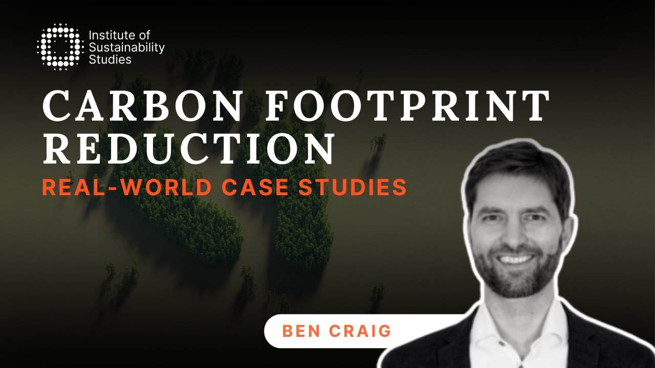 Carbon Footprint Reduction: Real-World Strategies for Business ...