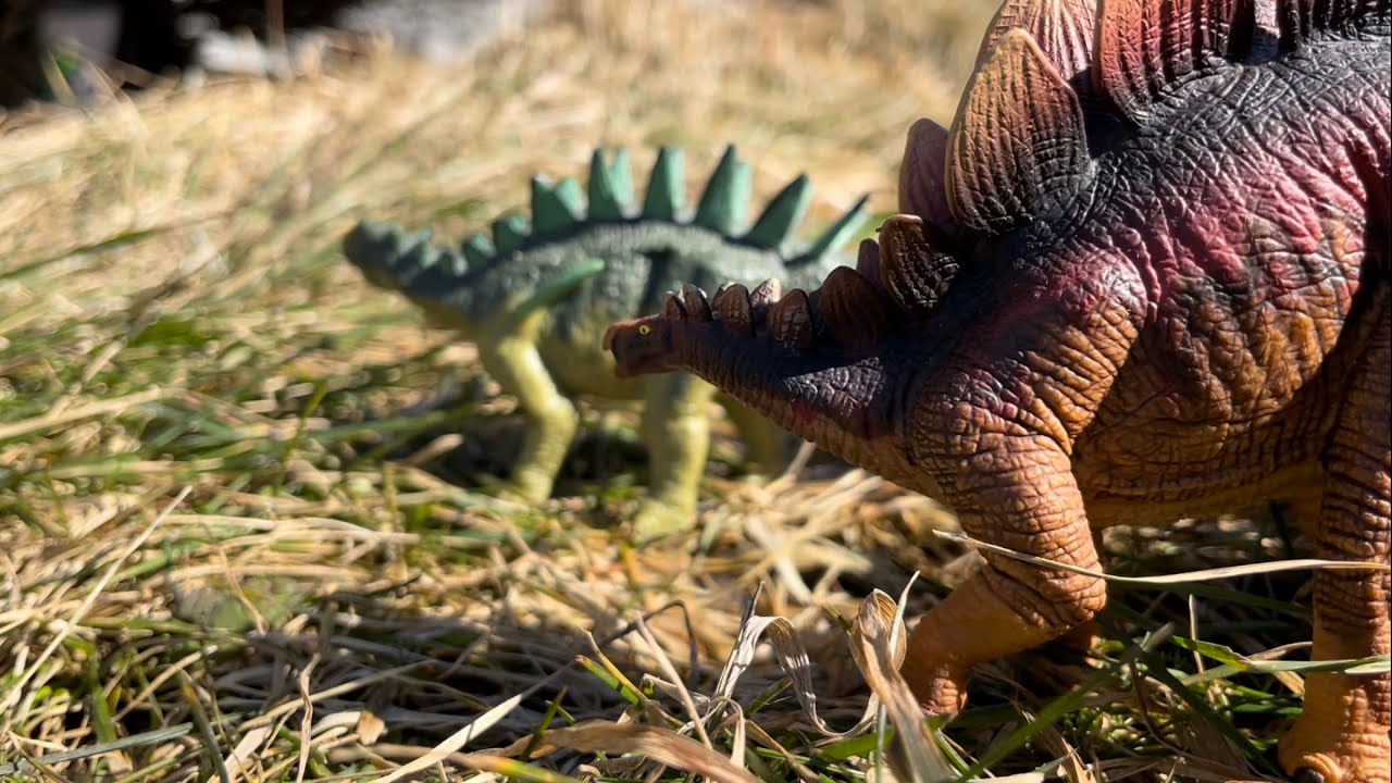 Pangea Modern Day (Episode 1): Seeds of Spring - YouTube