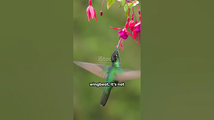 Why do we blink 20,000 times????? #didyouknow #fypage #facts #like