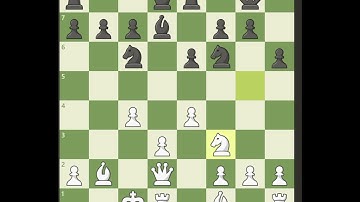 Checkmate-"The attack is the soul of chess."