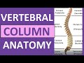 Vertebral Column Anatomy: Bones, Regions, Curvatures (Kyphotic, Lordotic)