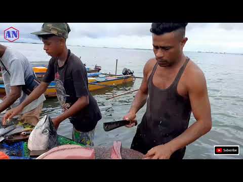 Video: Cara Memotong Ikan Dengan Indah