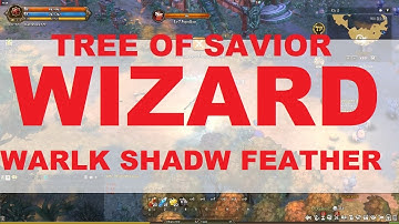 TOS BUILD - WARLOCK SHADOWMANCER FEATHERFOOT