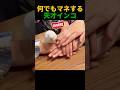 本当に鳥？モノマネ天才インコ