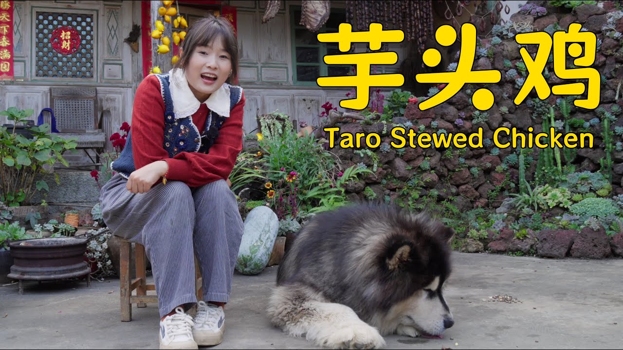 和大王奶奶一起挖芋头做芋头鸡！【叫我阿霞Channel】