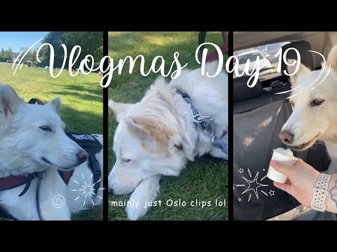 Mainly Oslo Today // Vlogmas Day 19