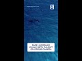 Rare humpback whale birth caught on drone camera