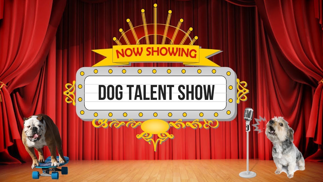 Jaw Dropping Dog Talent Show - YouTube