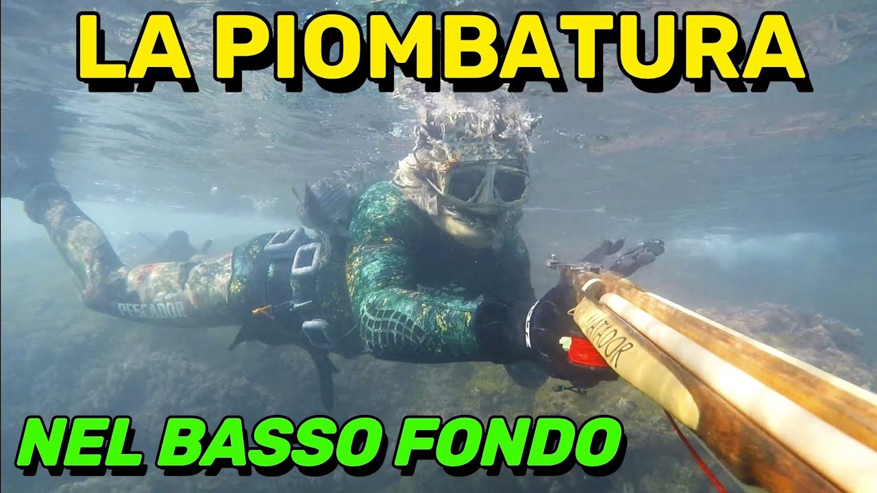 Pesca Sub la PIOMBATURA e L'ASSETTO IN ACQUA per la pesca subacquea in apnea nel basso fondo 2026