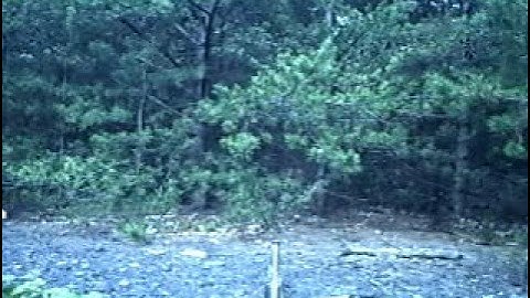 15k Xenon lamp slow-mo