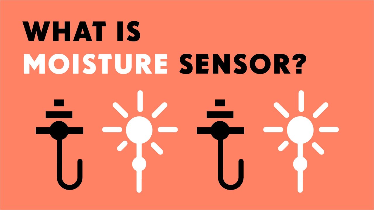 What is a moisture sensor? YouTube