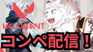 【VALORANT】(JP/EN)深夜コンペ🦁