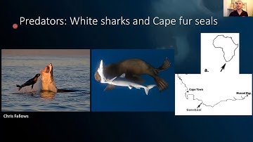 MMF Virtual Fauna Friday with Guest Oliver Jewell