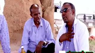 Sooraan,Jawaan Iyo Daahe Gaas Maxaa Kala Qabsaday Riwaayadii Dhakhtarnimada