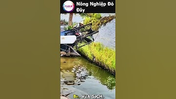 Cách người Trung Quốc trồng lúa nổi trên mặt nước khiến ai cũng kinh ngạc #nongdan#nongnghiep#short